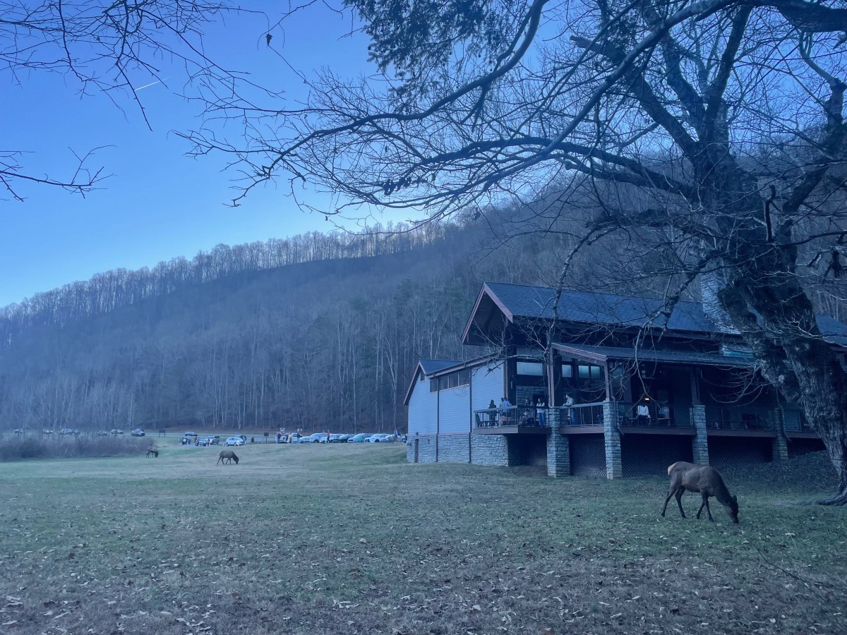 Can you hunt elk in North Carolina?