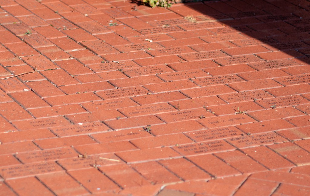 A close-up, high-angle shot of red brick pavers laid in a pattern at Sesquicentennial Park. Many of the bricks are engraved with names and dedications, such as "In Memory Of" and "In Honor Of," representing community contributions. Sunlight casts a diagonal shadow across the upper right corner.