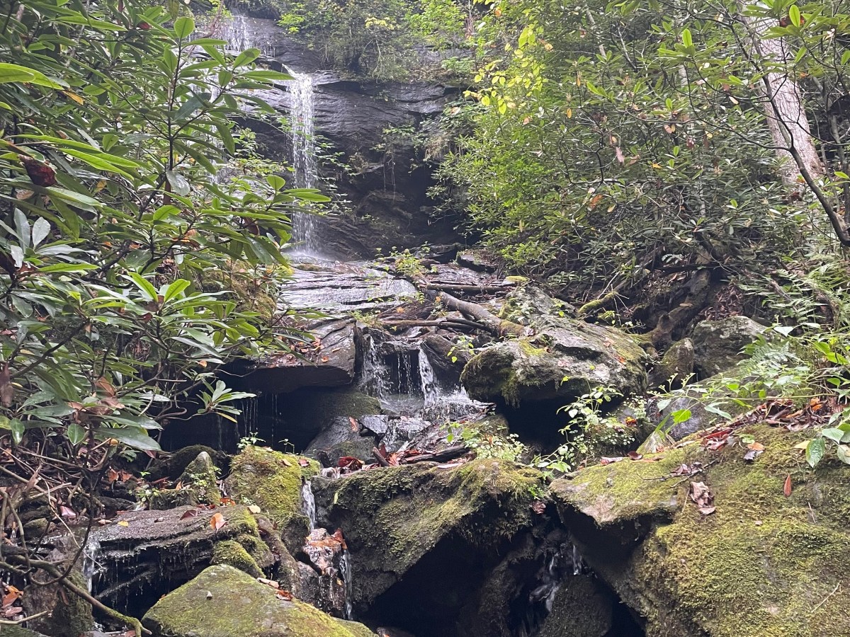 What the U.S. Forest Service’s restructuring means for WNC 