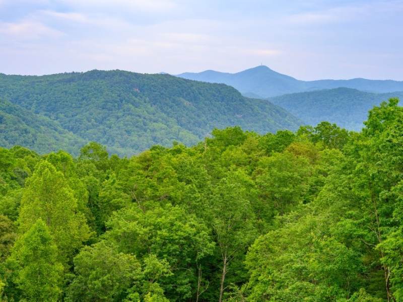 First in Conservation: Farm Bill extends tax credit
