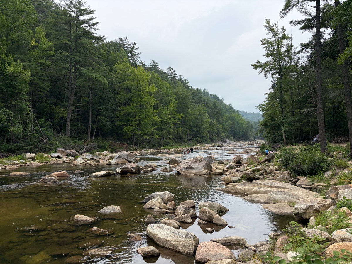 ICE says Forest Service requested cooperation in Wilson Creek operation. Here’s how law enforcement in national forests works.