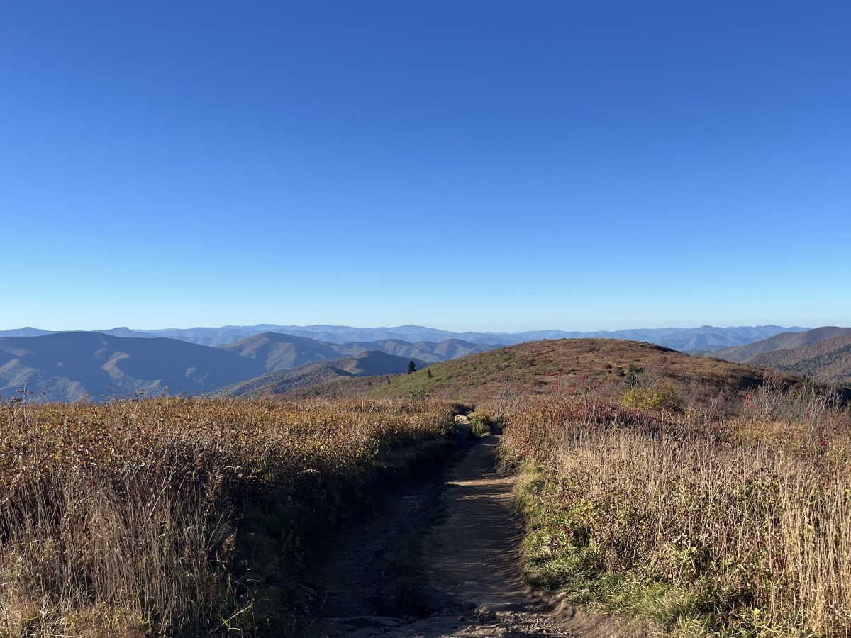 The Trump administration wants to roll back the Roadless Rule, which protects more than 170,000 acres of public land in NC. Here’s what the change could mean for North Carolinians. 