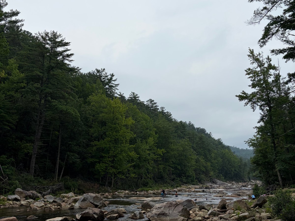 Forest Service declines public meeting on Wilson Creek ICE operation; Advocates call response ‘a shell game’