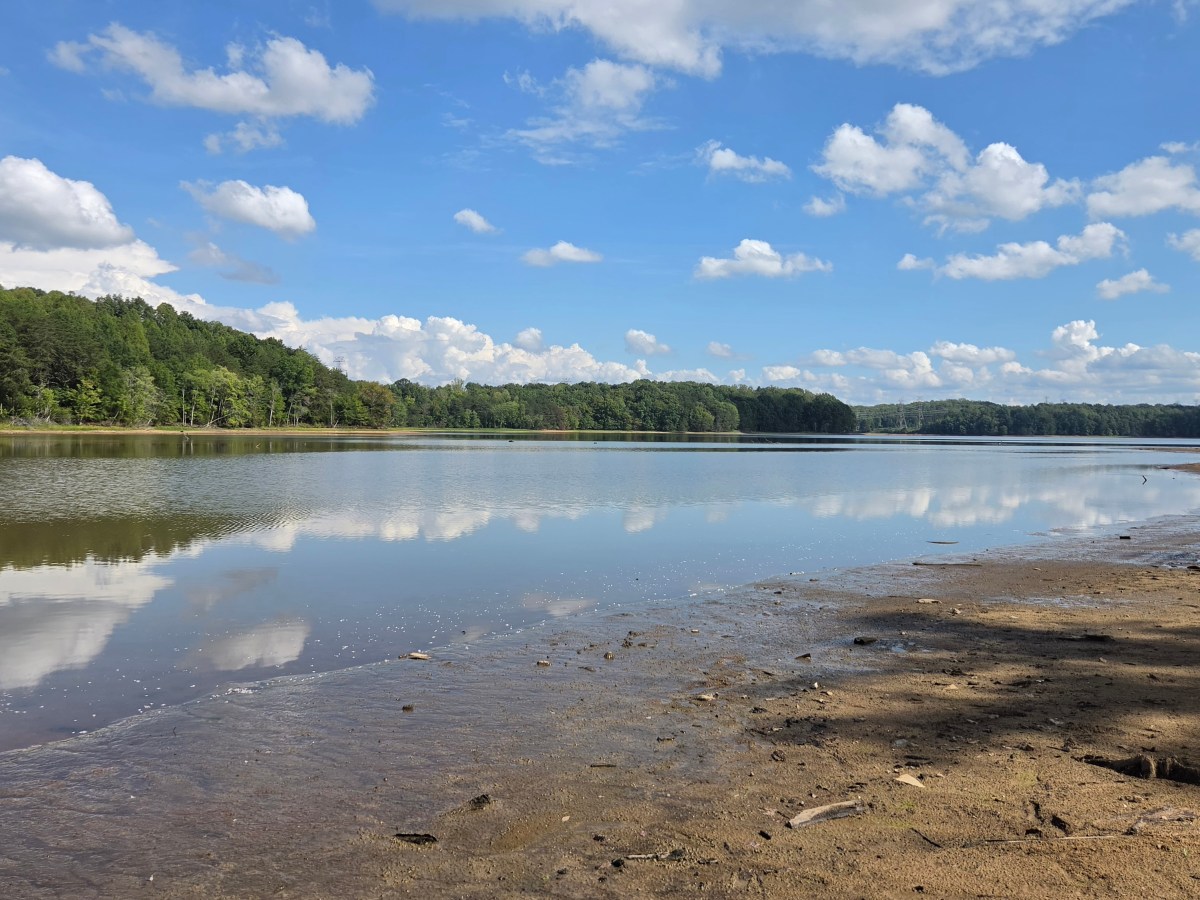 Drought expert: Lack of water ‘pretty severe’ in some N.C. counties